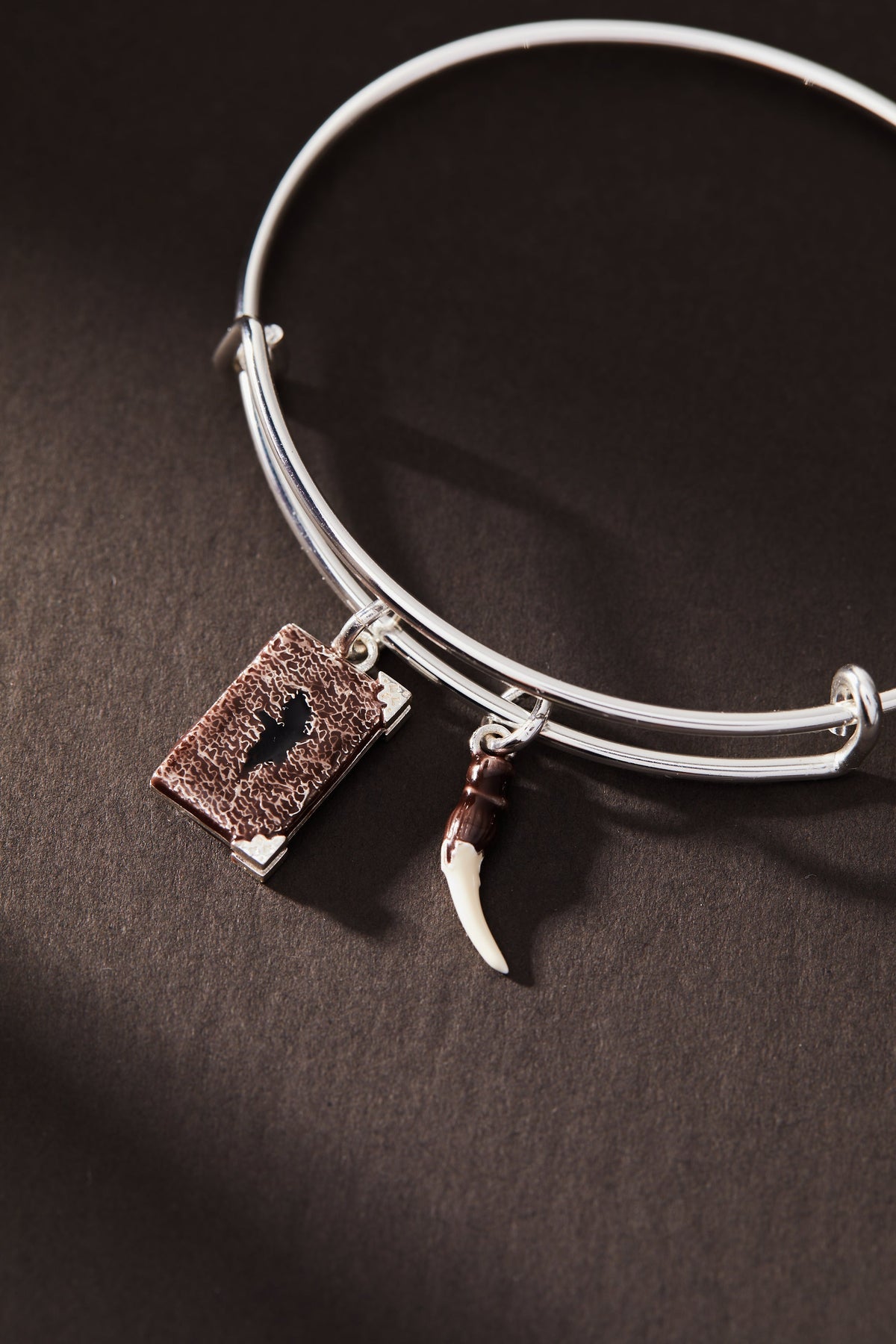 Harry Potter™ Diary and Basilisk Fang Bangle
