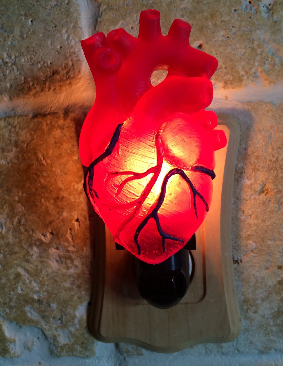 Anatomical Heart Nightlight, Hand Painted Resin Sculpture | Gothic Night Light | Human HeartLighting for Gothic Fantasy Home Decor