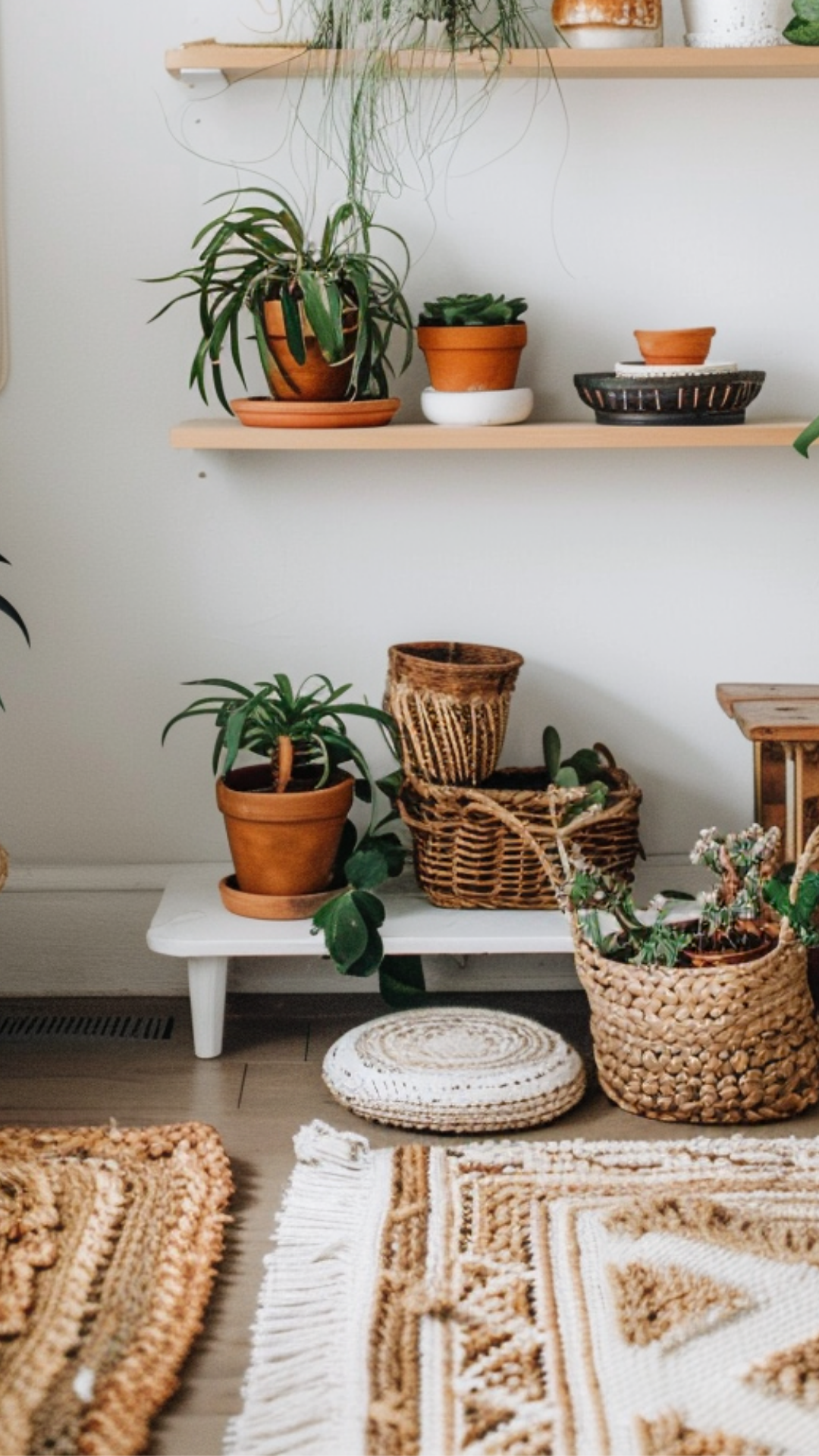 Home Decor