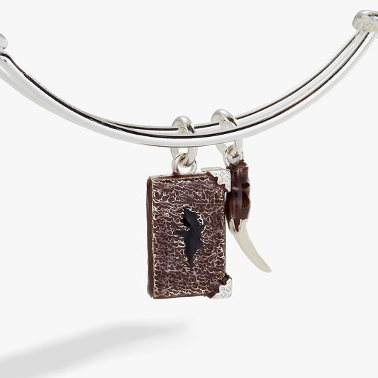 Harry Potter™ Diary and Basilisk Fang Bangle