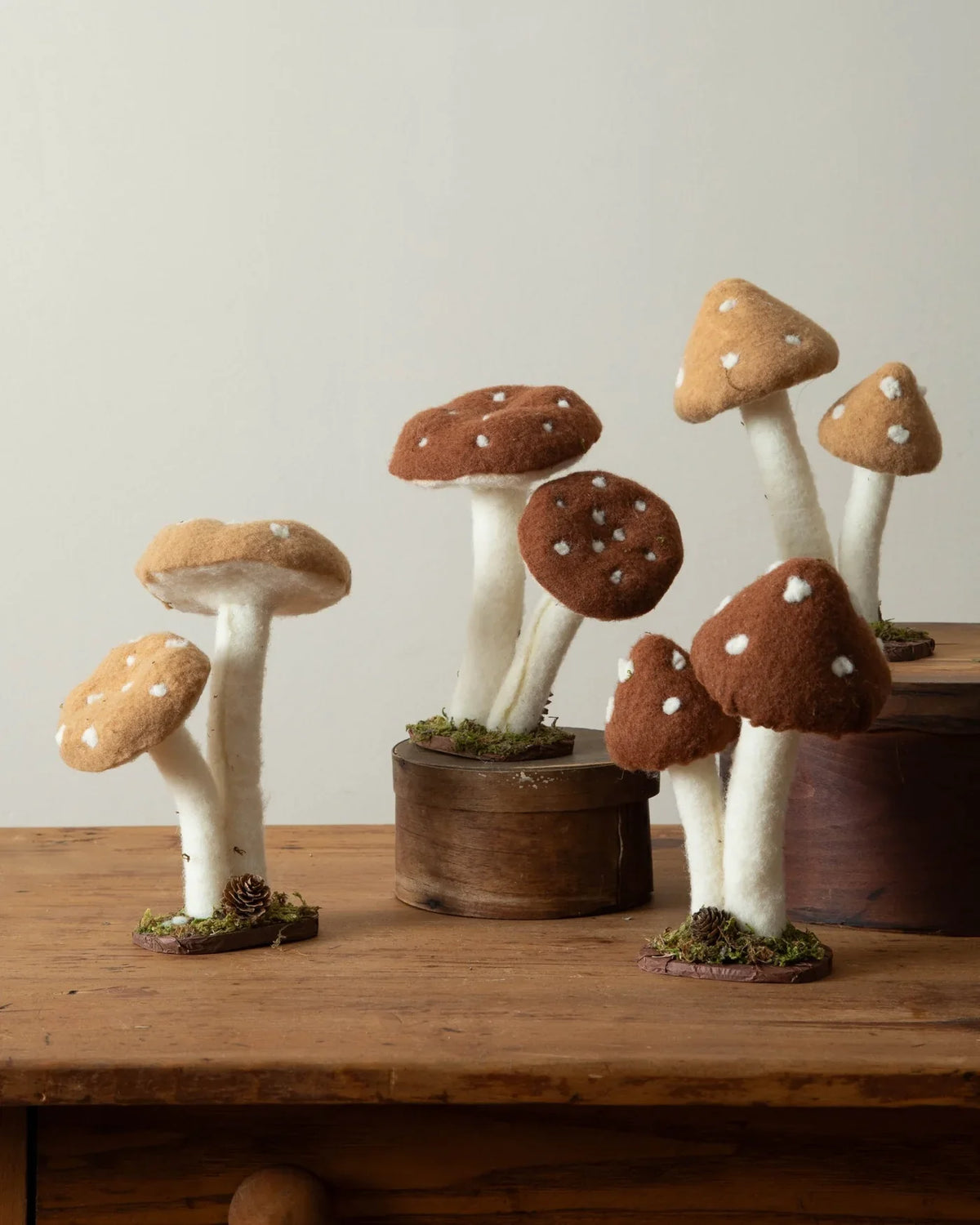 Round and Pointed Cap Felt Mushrooms