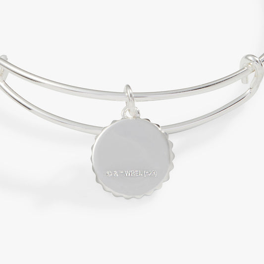 Harry Potter™ Slytherin House Charm Bangle