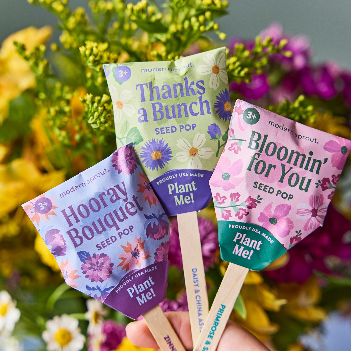 Plantable Wildflower Seed Pop Gift | Modern Sprout
