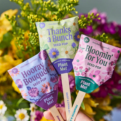 Plantable Wildflower Seed Pop Gift | Modern Sprout