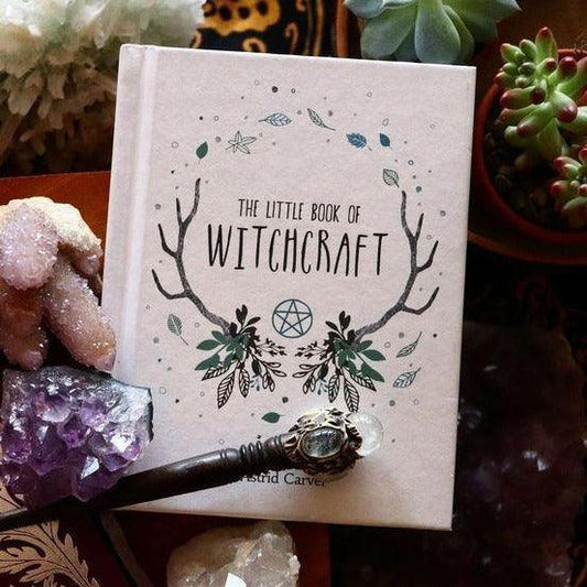 The Little Book of Witchcraft