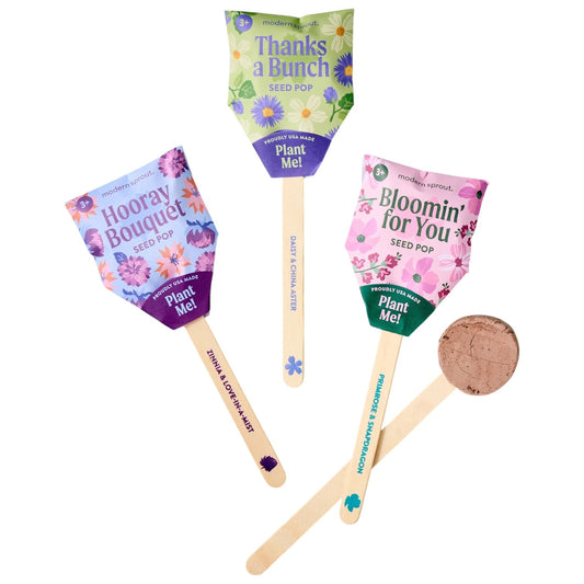 Plantable Wildflower Seed Pop Gift | Modern Sprout